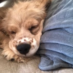 Meet your Posher, Tylar